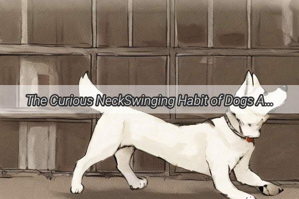 The Curious NeckSwinging Habit of Dogs A Sleepy Mystery Unveiled